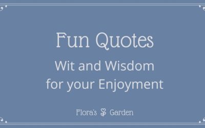 Fun Quotes