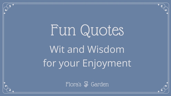 Fun Quotes