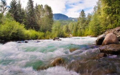 What if “God’s Will” is to Bless You Beyond Belief?