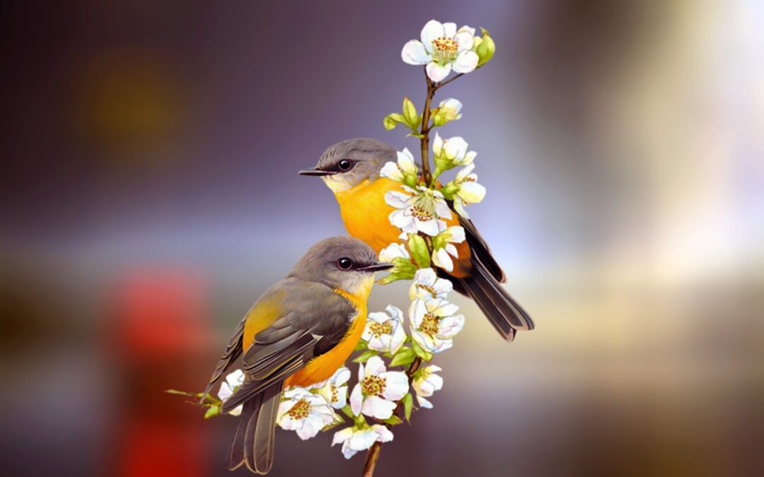 Are You Unequally Yoked?