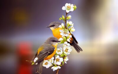 Are You Unequally Yoked?