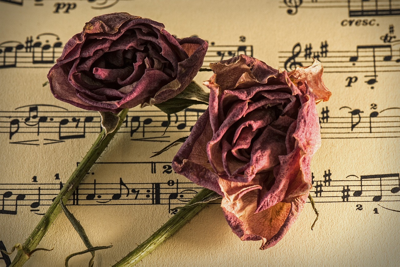 sheet-music-944796_1280 dried red rose placed on weathered sheet music